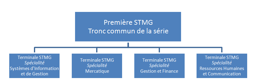 Image organisation STMG